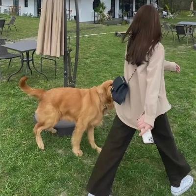 看!黛博拉